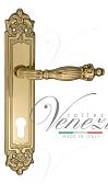 Дверная ручка Venezia на планке PL96 мод. Olimpo (полир. латунь) под цилиндр